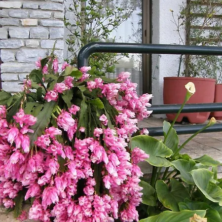 Vakantiehuis Orfeas -vacation *